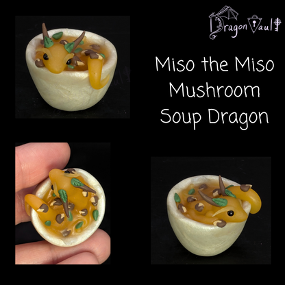 Miso the Miso Mushroom Soup Dragon